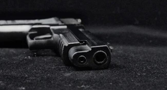 Police shoot truck that disregarded orders